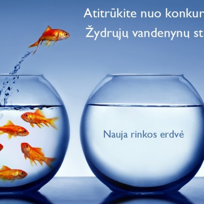 LiMA mokymai Druskininkuose'2015